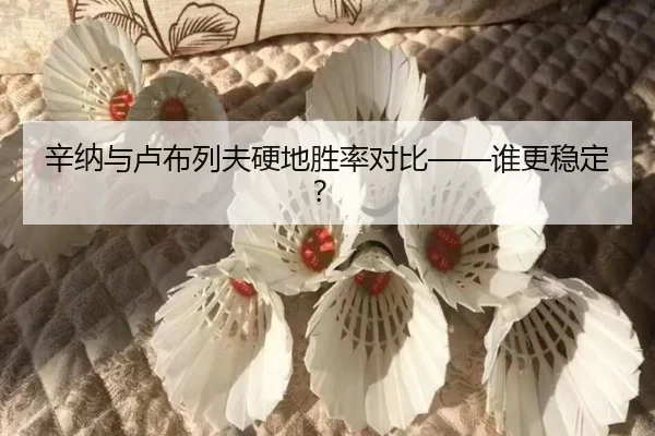 辛纳与卢布列夫硬地胜率对比——谁更稳定？