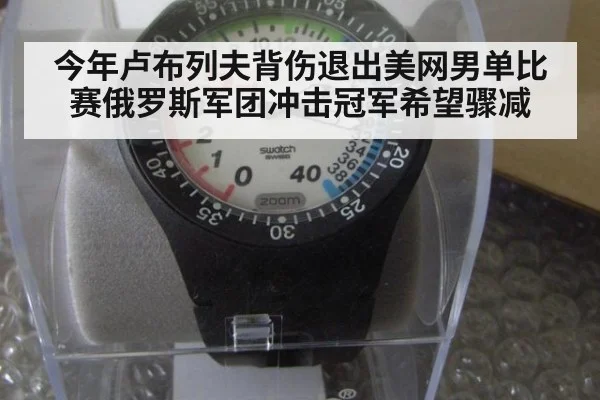 今年卢布列夫背伤退出美网男单比赛俄罗斯军团冲击冠军希望骤减